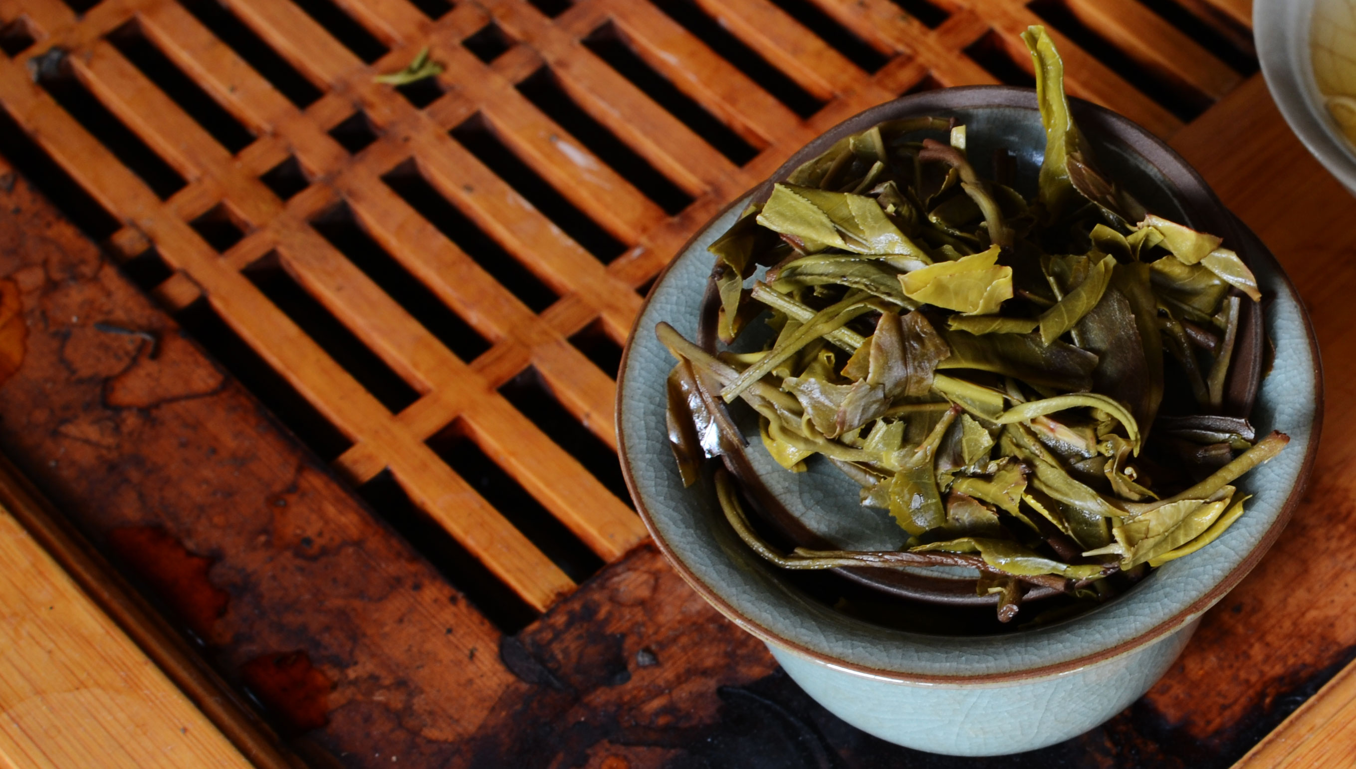 Puer Tea in the gaiwan
