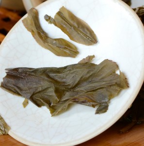 tea buds and broad leaf