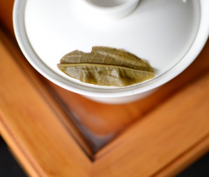Single puerh tea leaf